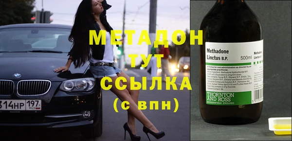 индика Осинники