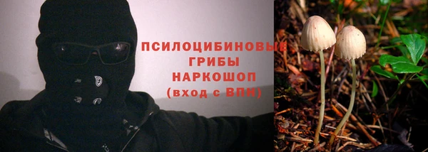 прущая мука Арсеньев