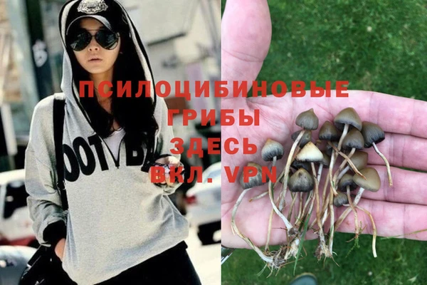 mdpv Балабаново