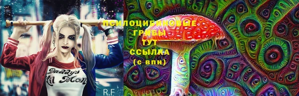 прущая мука Арсеньев