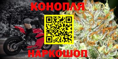трава Пугачёв