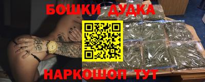 индика Пыть-Ях