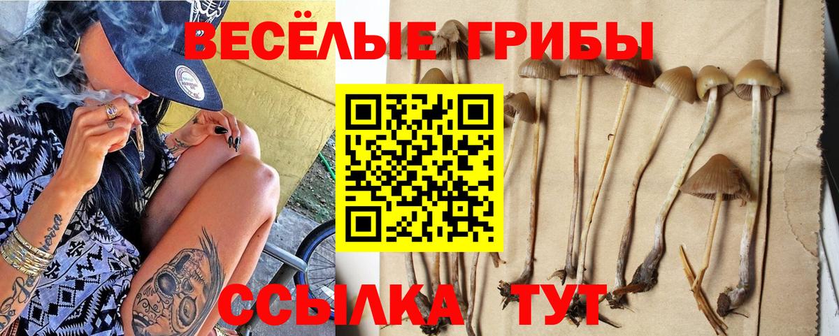 Учалы  Псилоцибиновые грибы ЛСД  сколько стоит  Вход с VPN 